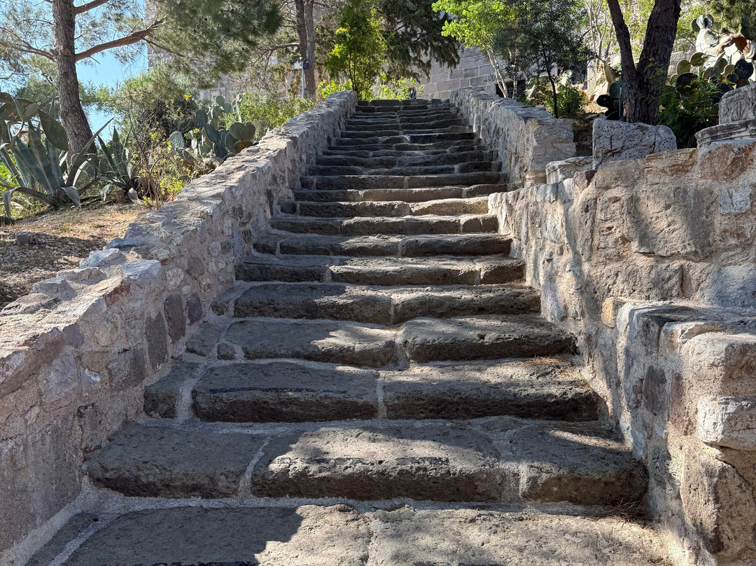 Bodrum Castle-博德鲁姆必去景点