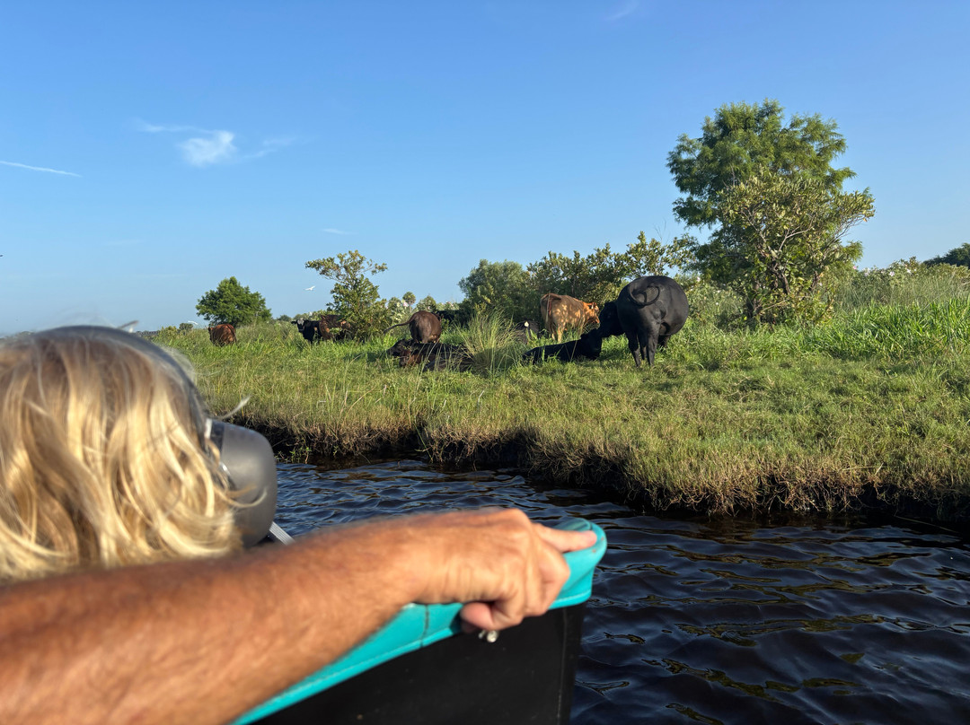 Backwoods Airboat Adventures-Christmas必去景点