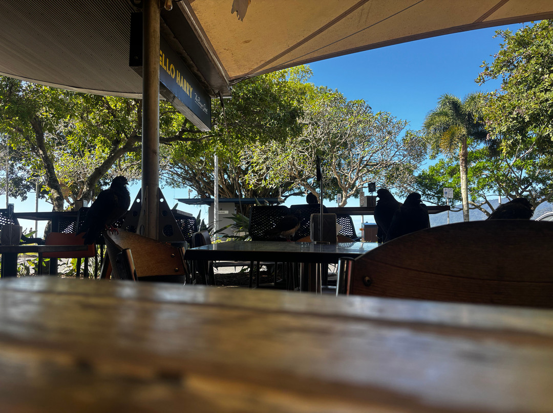 Hello Harry (The Burger Joint) Cairns