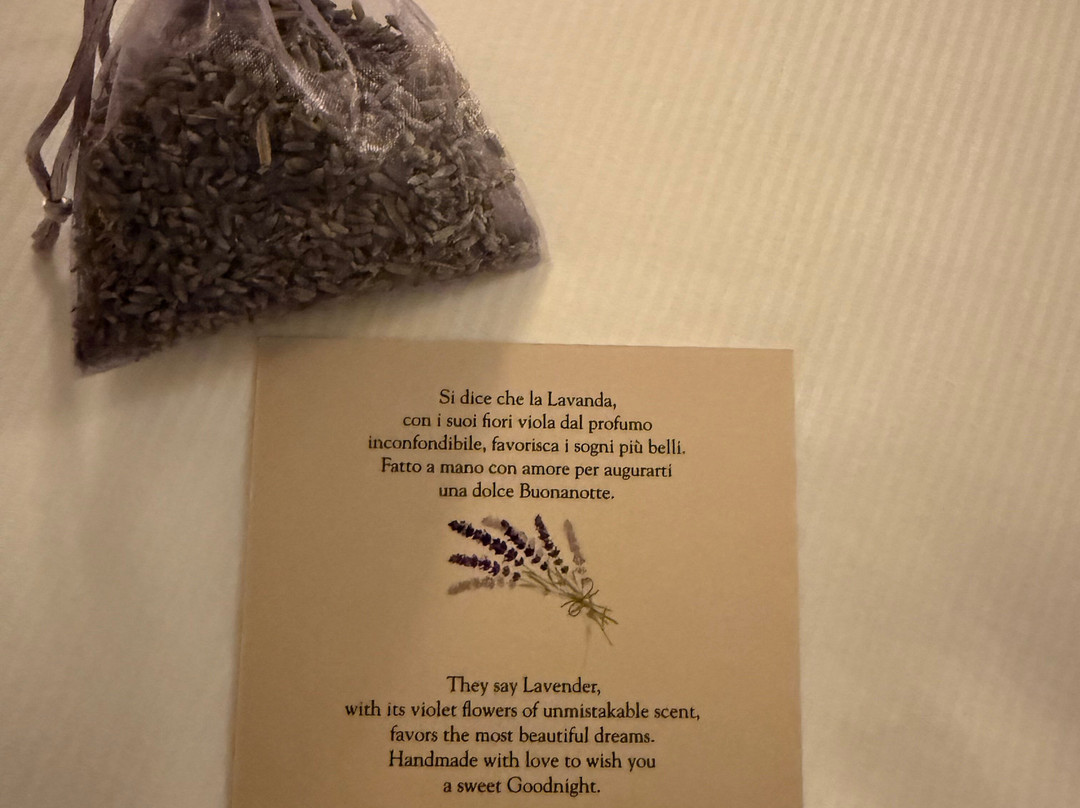 科拉别墅主图