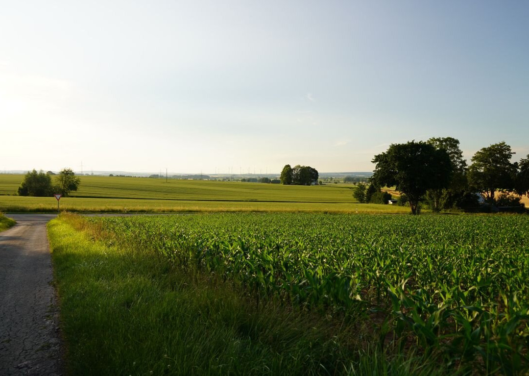 Burg Desenberg-Warburg必去景点