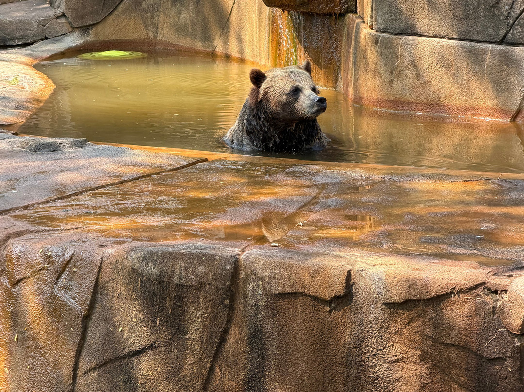 Milwaukee County Zoo-密尔沃基必去景点