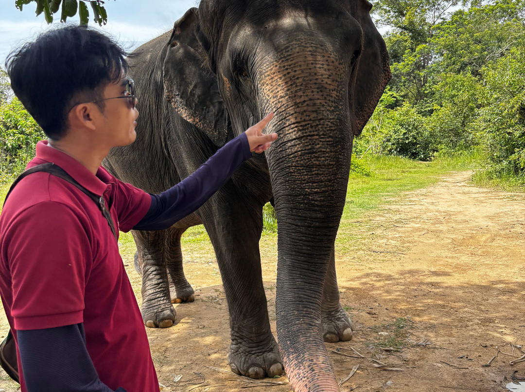 Kulen Elephant Forest-暹粒必去景点