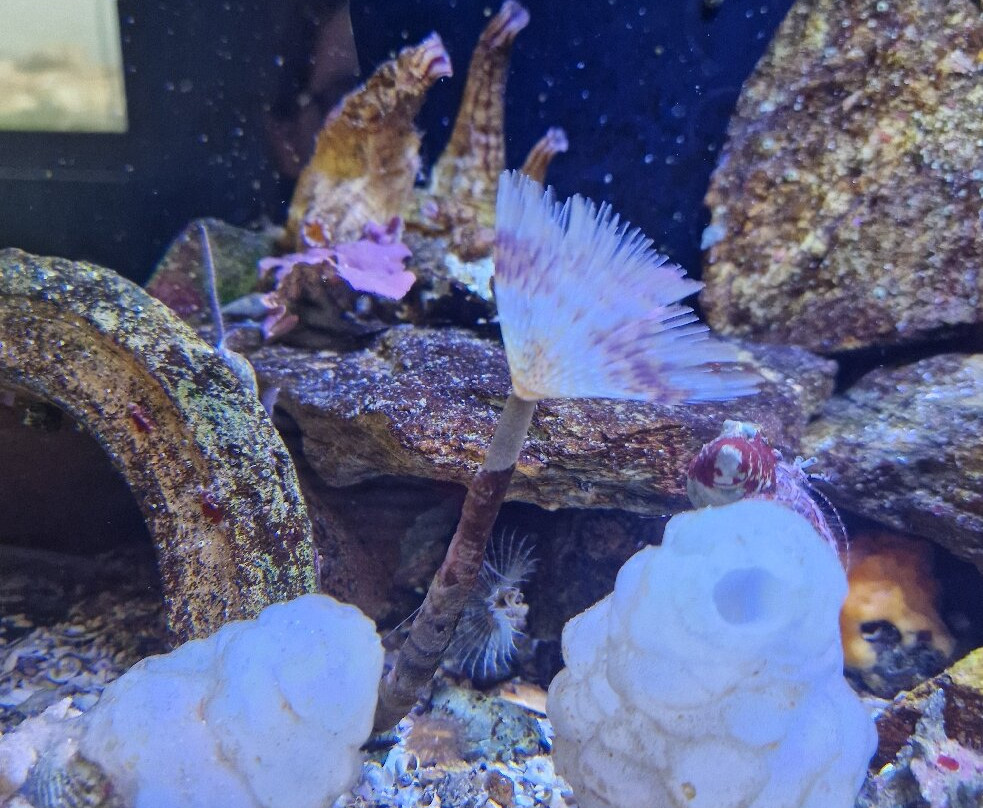 Biodiversarium-Banyuls-sur-mer必去景点