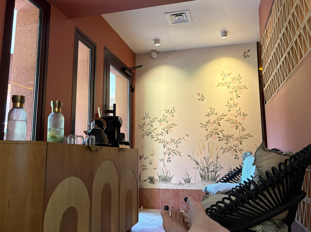 Spa Nuxe La Villa Duflot Perpignan-佩皮尼昂必去景点