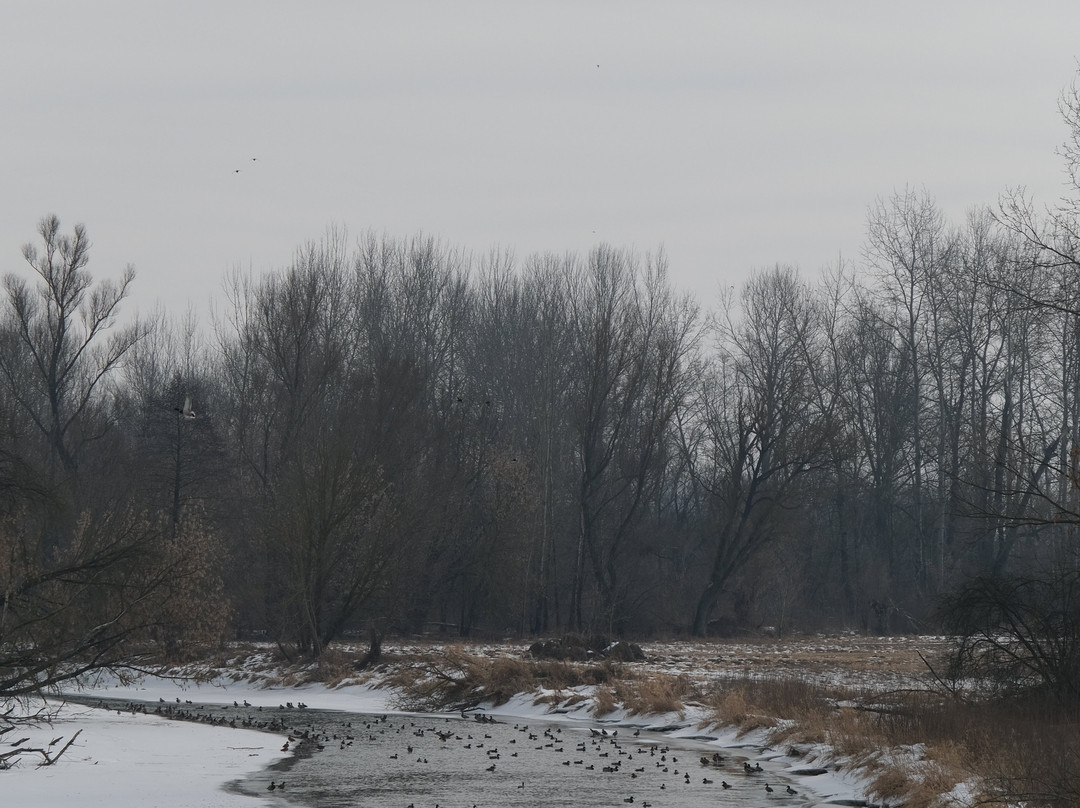 Nadnidziański Park Krajobrazowy