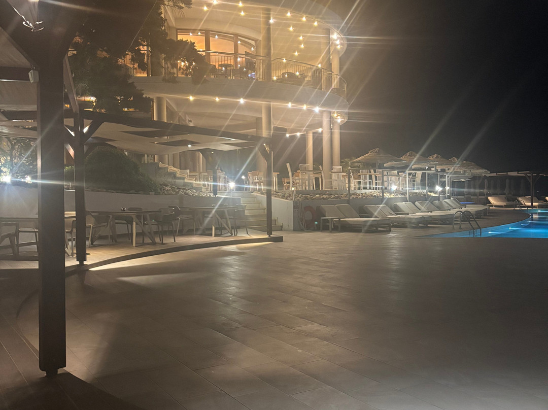 阿丽亚皇宫酒店及别墅主图