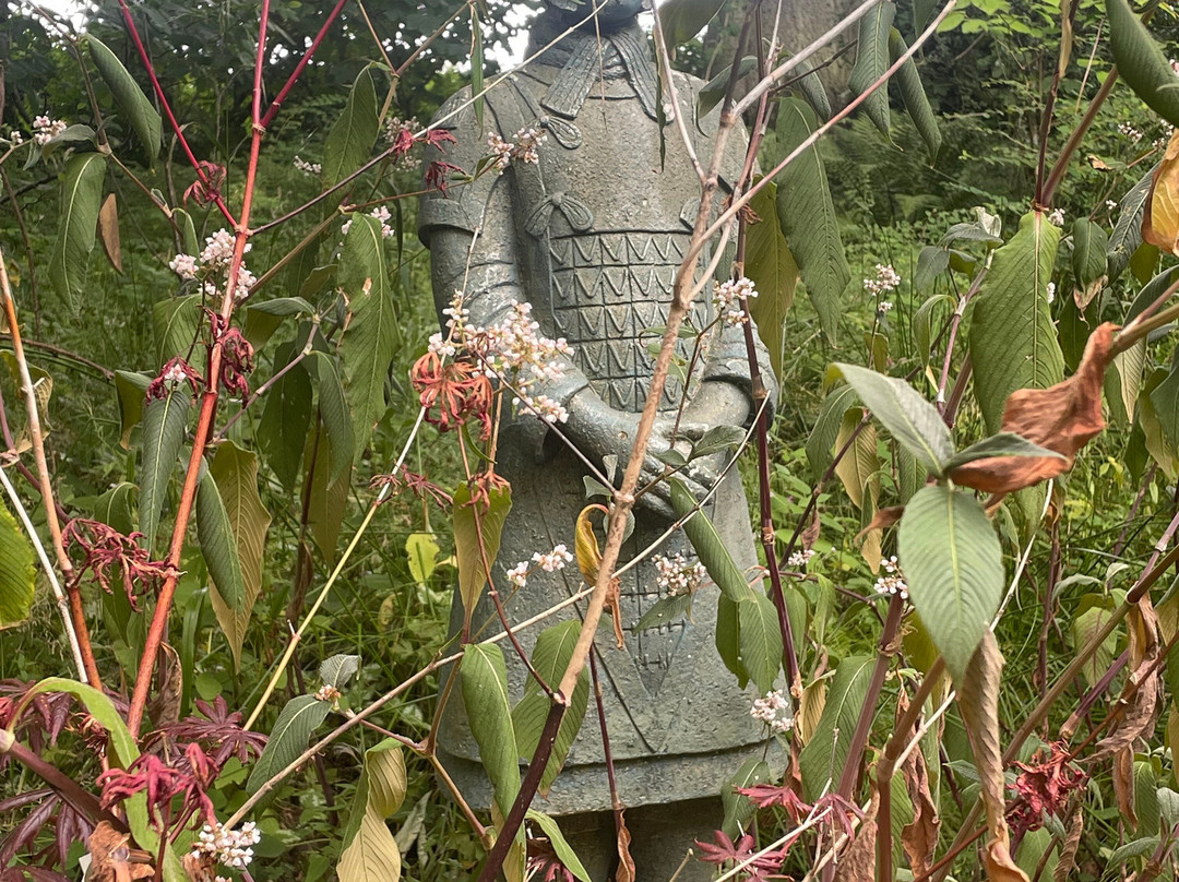 Arbigland House and Gardens-邓弗里斯必去景点