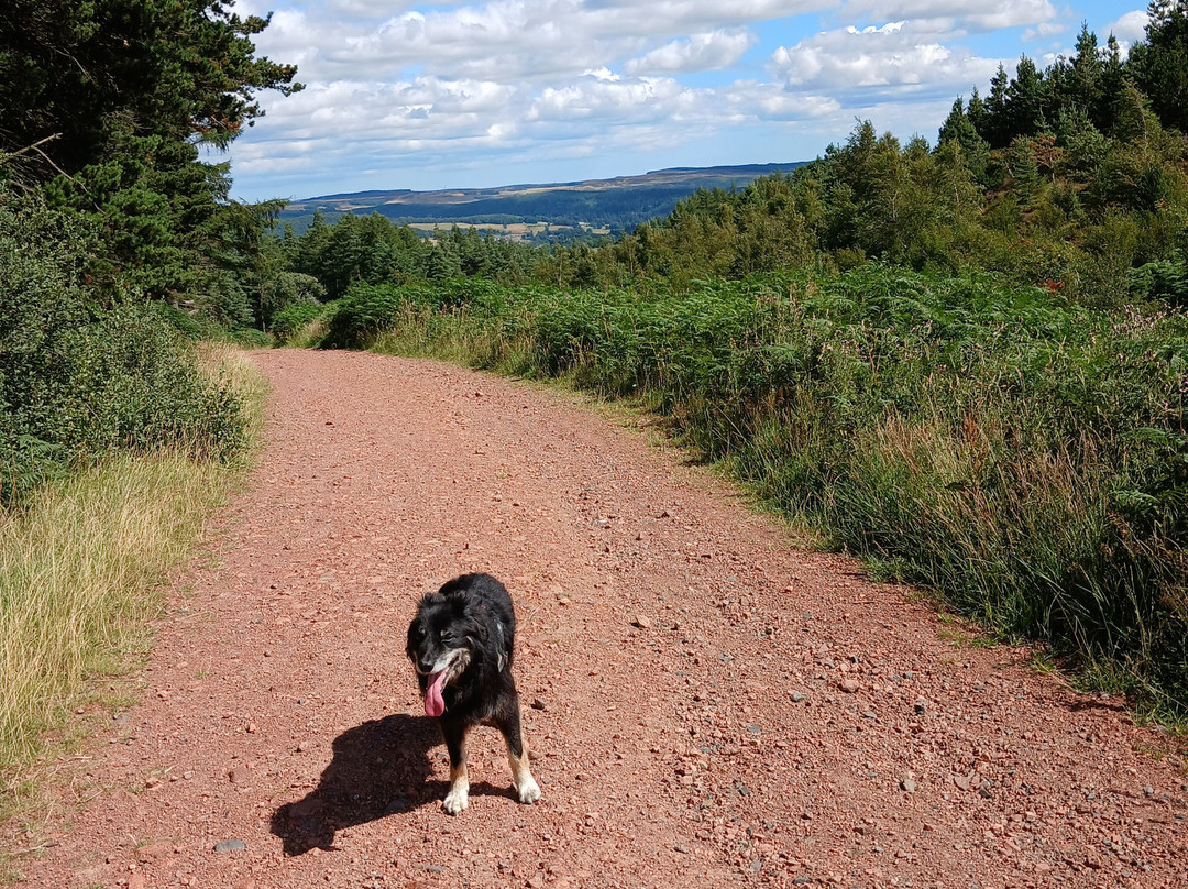 Simonside Hills-Northumberland National Park必去景点