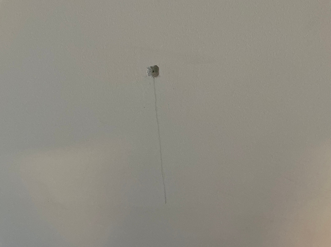 瑞吉菲茨瑙酒店主图