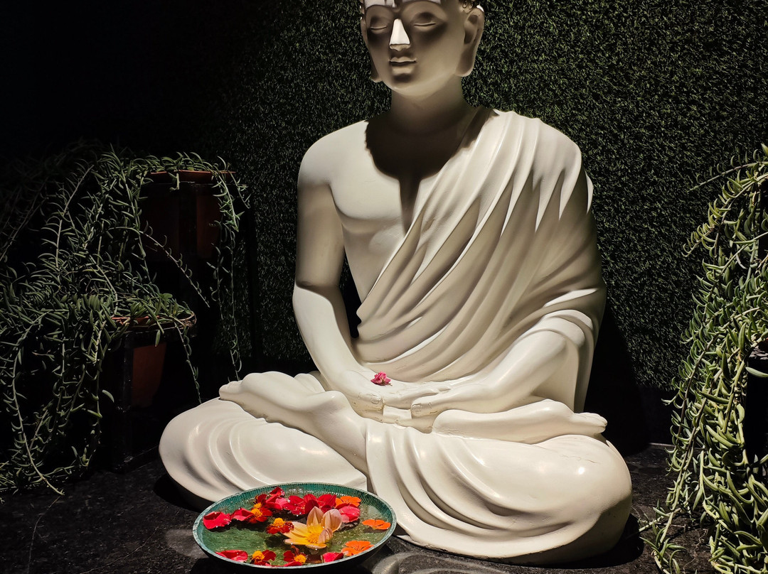 西姆拉兰花酒店主图