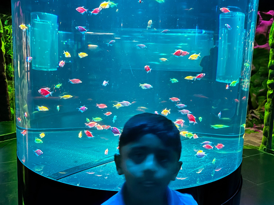 Lokaranjan Aqua World Underwater Zoo-迈索尔必去景点