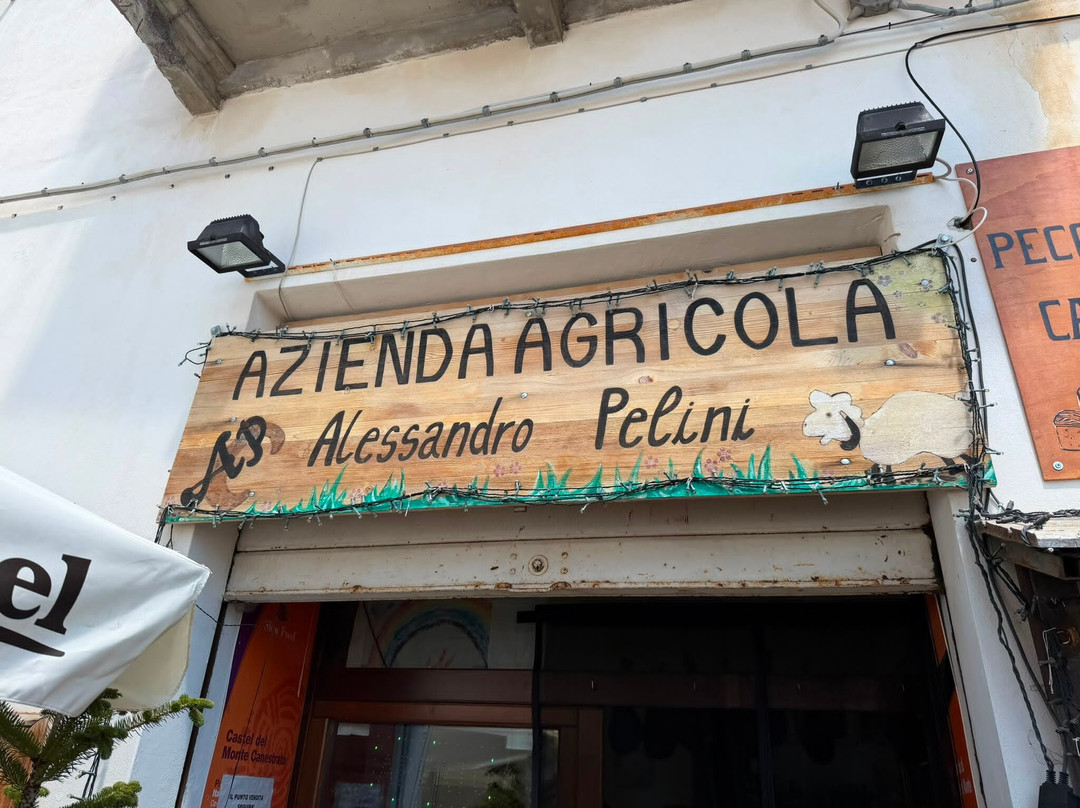 Azienda Agricola Pelini Alessandro