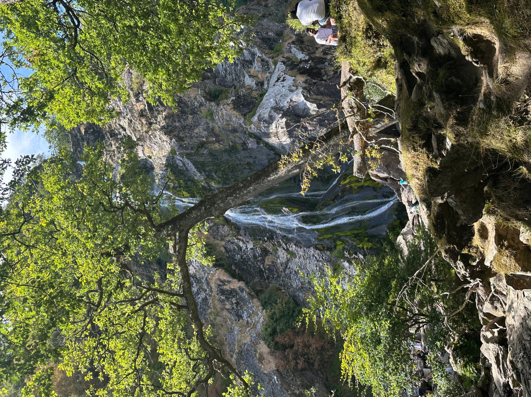 Powerscourt Waterfall-Enniskerry必去景点