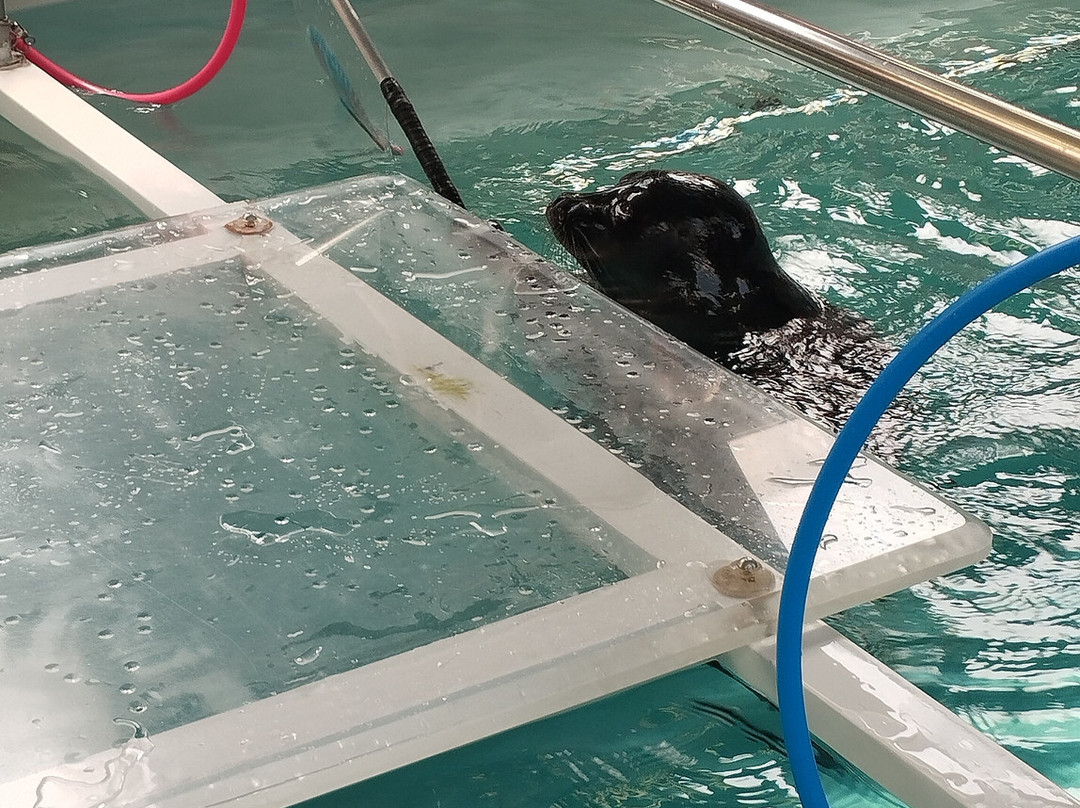 Nerpinary水族馆-利斯特维扬卡必去景点