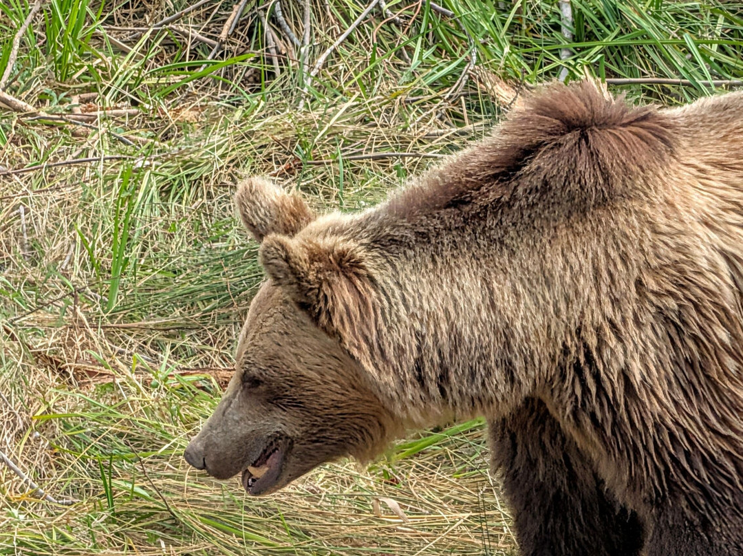 Parc Animalier De Sainte-croix-Rhodes必去景点