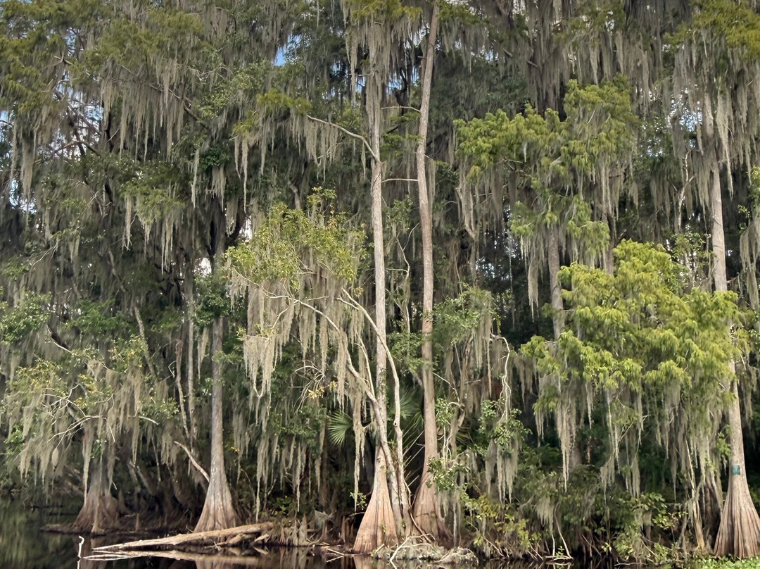 Swamp Fever Airboat Adventures-Lake Panasoffkee必去景点
