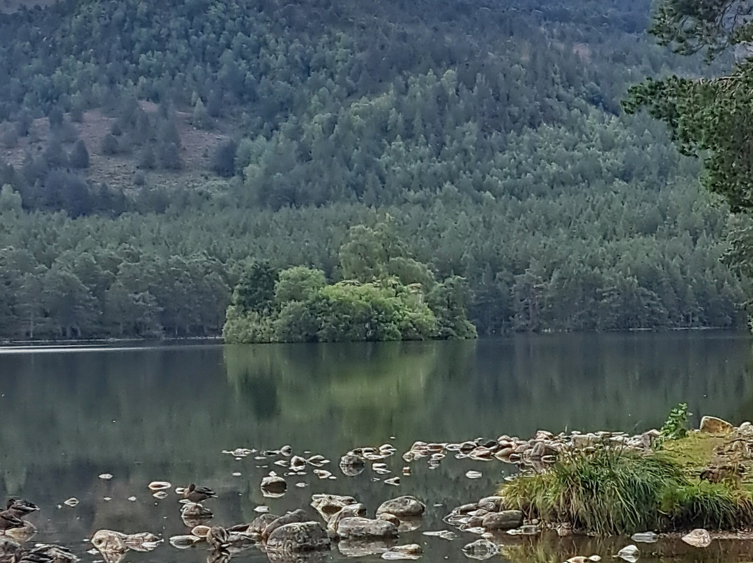 Loch an Eilein-阿维莫尔必去景点