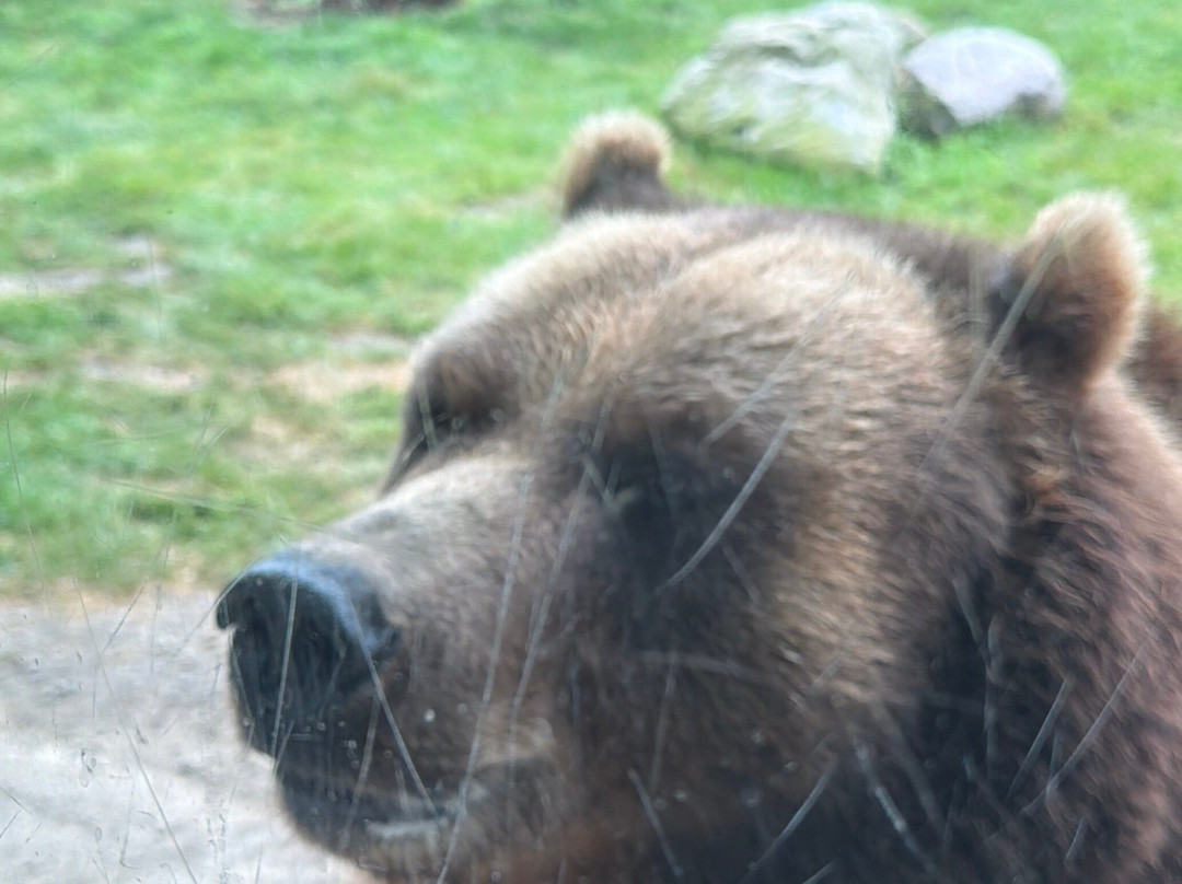 Wildpark Lüneburger Heide-Hanstedt必去景点