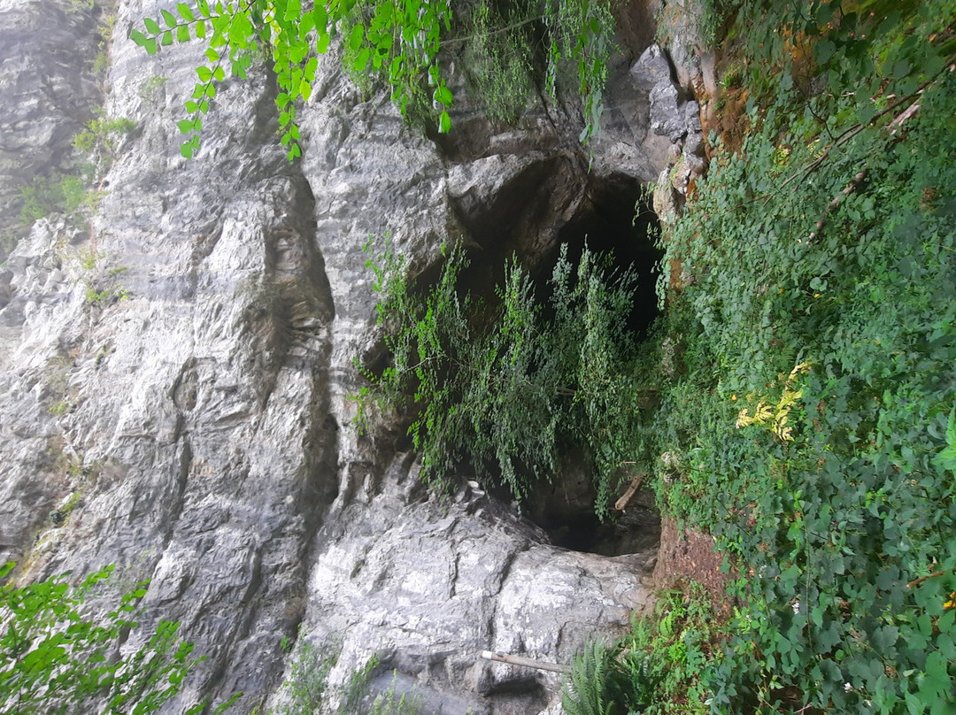 Source de la Bidouze-Saint-Just-Ibarre必去景点