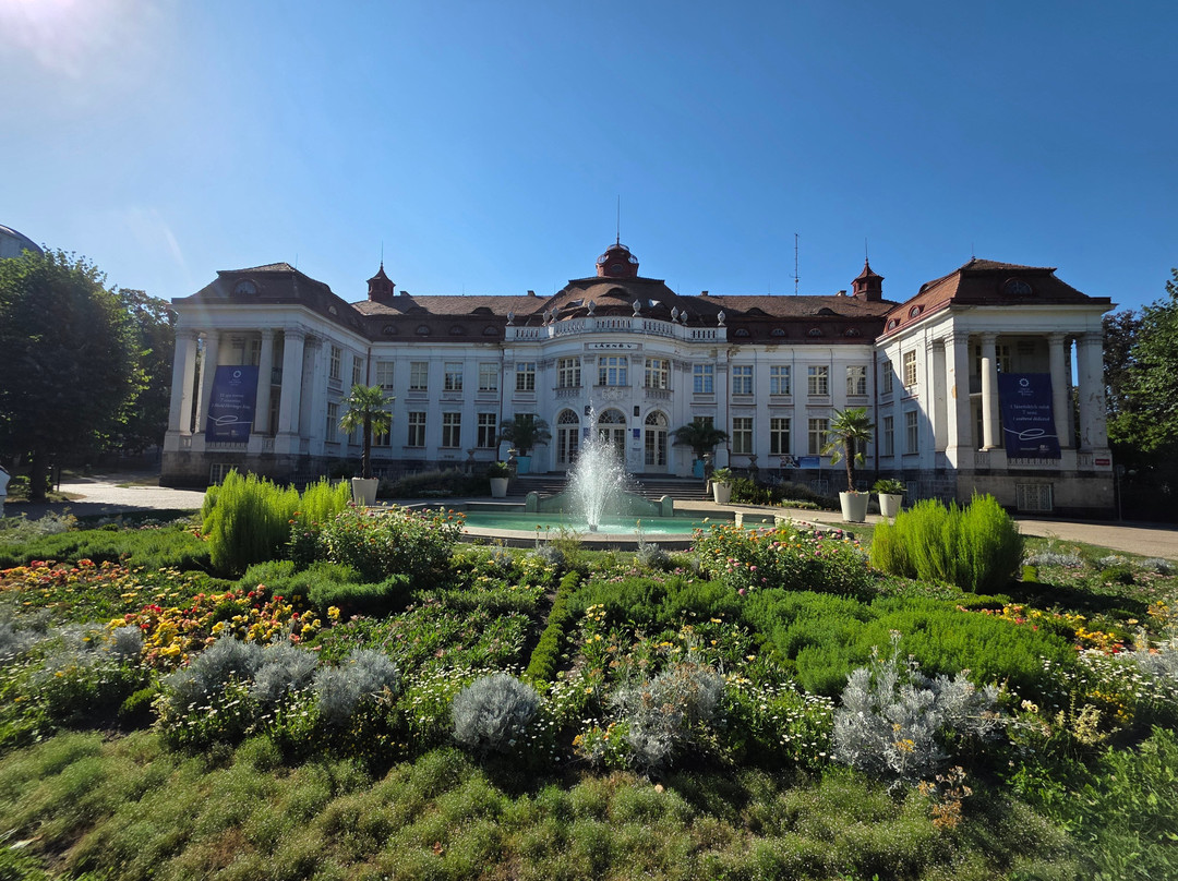 Villa Gineta主图