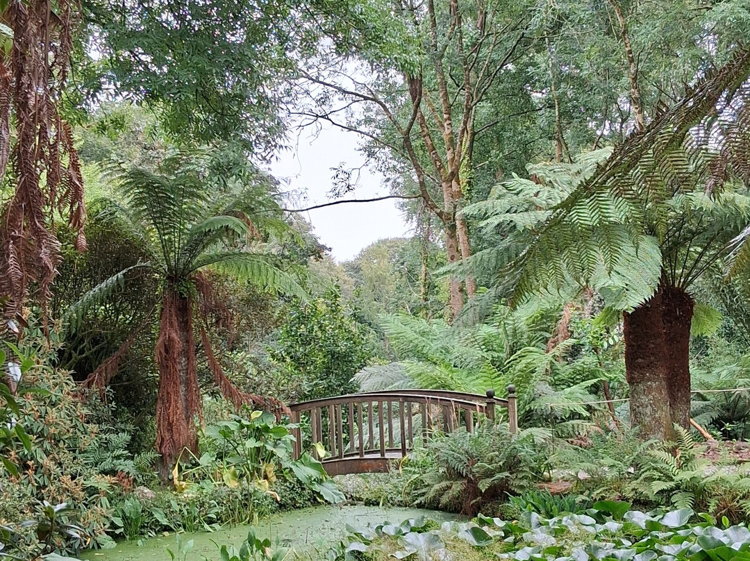 Trengwainton Garden-彭赞斯必去景点