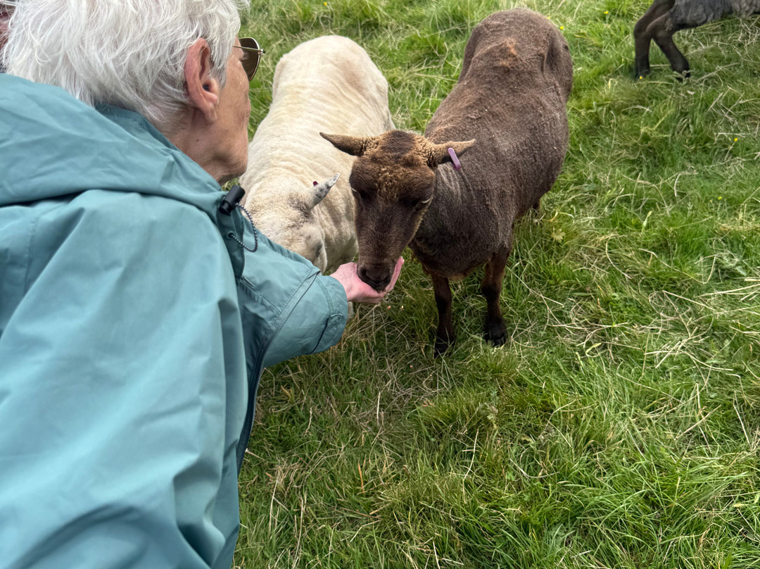 Nether Glenny Farm - Coos and Views-斯特灵必去景点