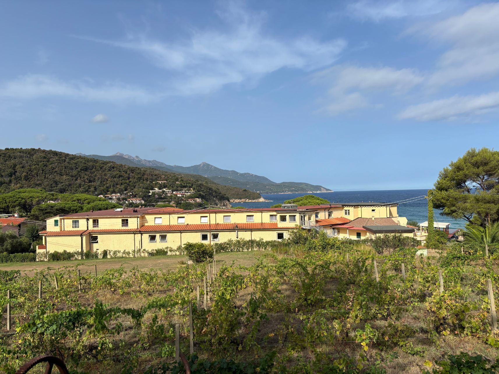 卡萨罗萨酒店-旅行者