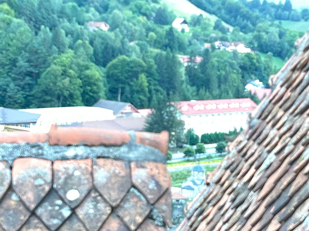 Bran Castle-布兰必去景点