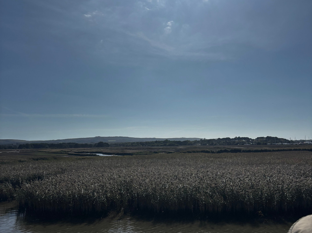 Birds Of Poole Harbour Events-普尔必去景点