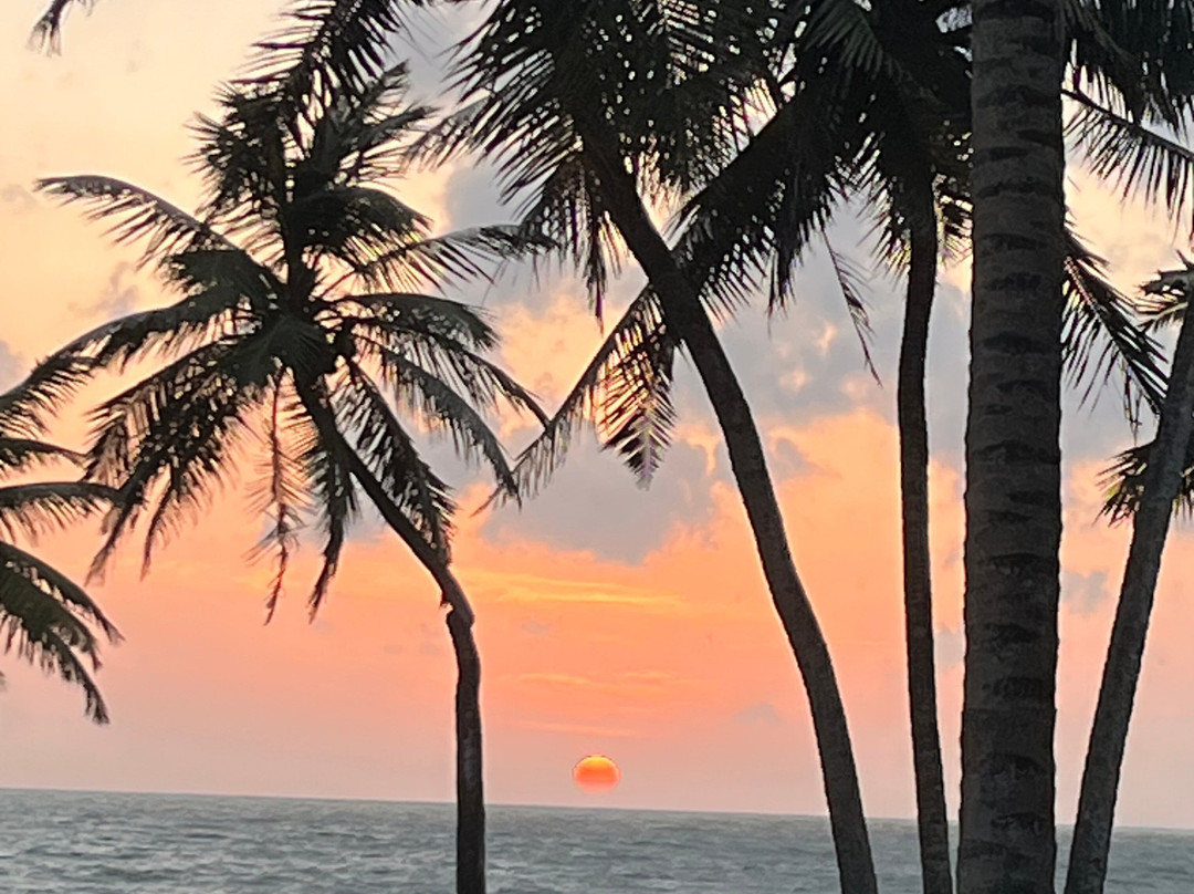 Relax Lanka Tours-尼甘布必去景点