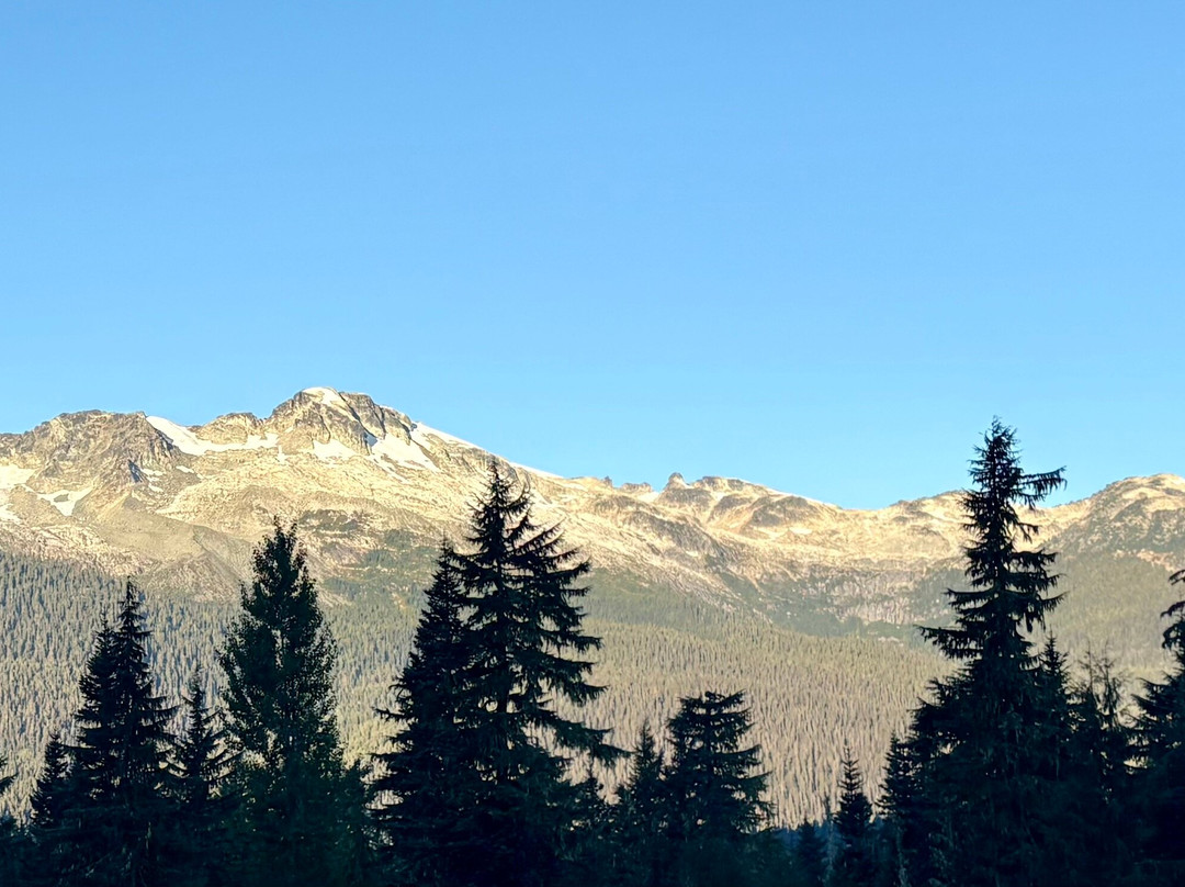 Whistler Olympic Park-惠斯勒必去景点