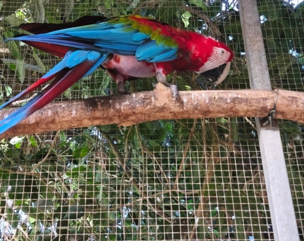 Butterfly Park-Castello d'Empuries必去景点