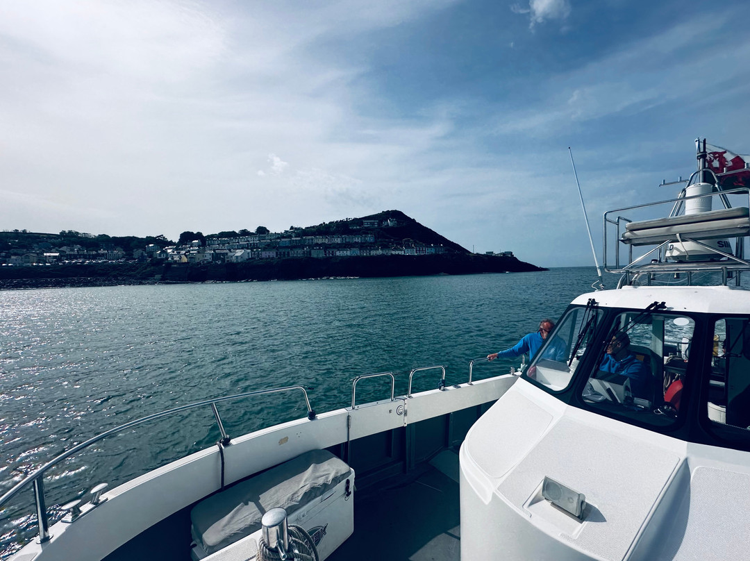 Dolphin Spotting Boat Trips (by New Quay Boat Trips)-纽基必去景点