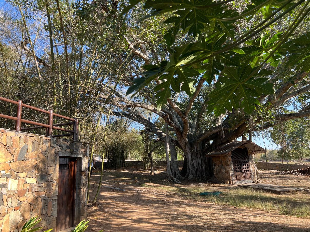 The Serai Bandipur-浴室