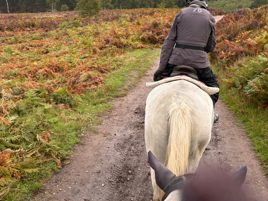 Cannock Chase Trekking Centre-Penkridge必去景点