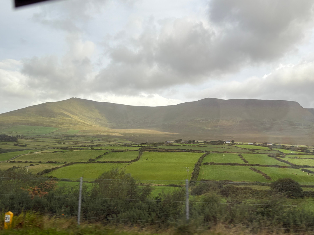 Love Irish Tours-都柏林必去景点