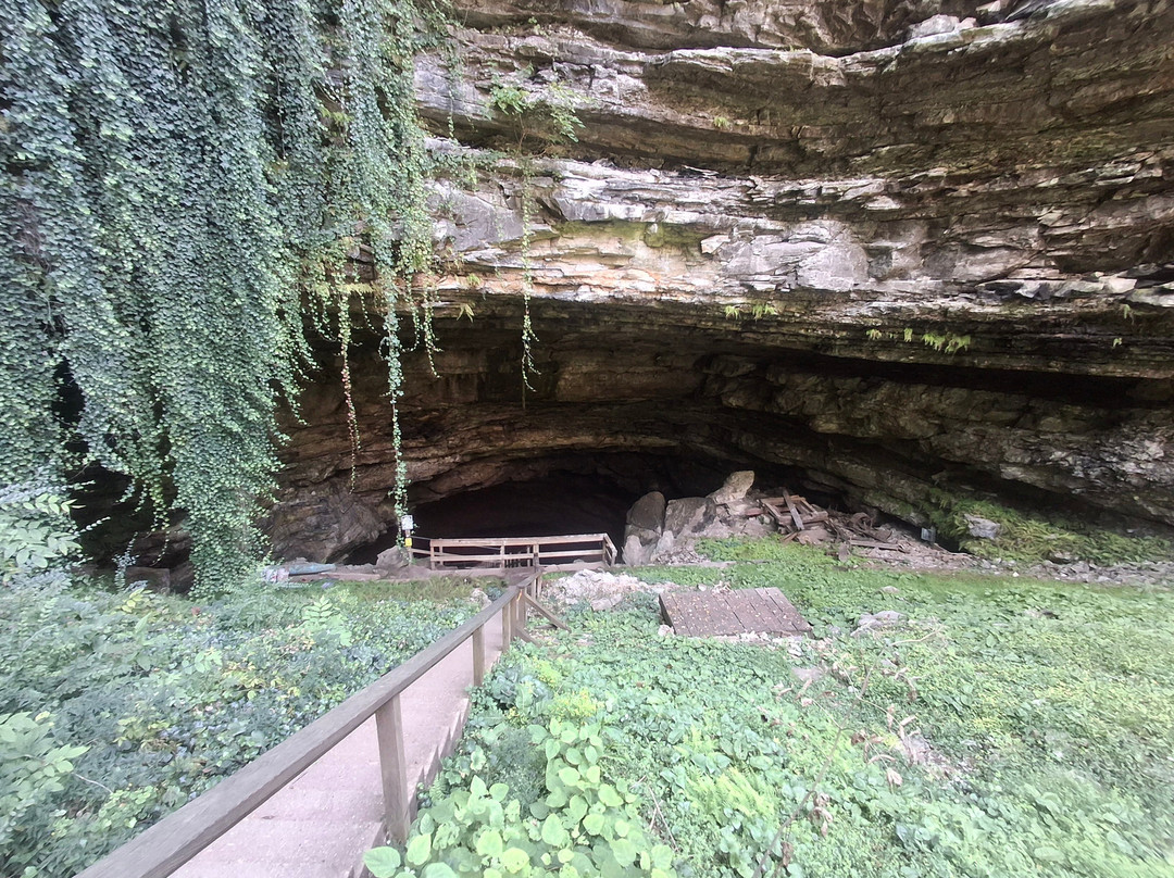 Hidden River Cave and American Cave Museum-Horse Cave必去景点