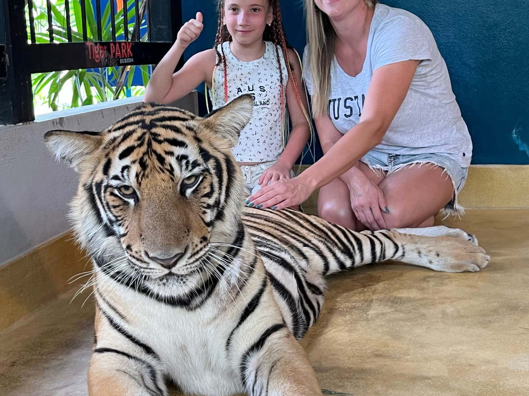Tiger PARK Phuket-查龙必去景点