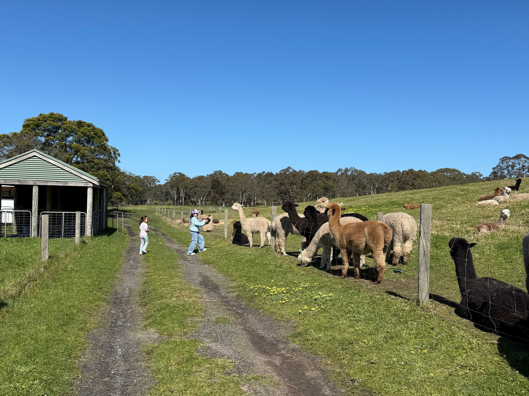 Softfoot Farm & Wildlife Park-Hindmarsh Valley必去景点