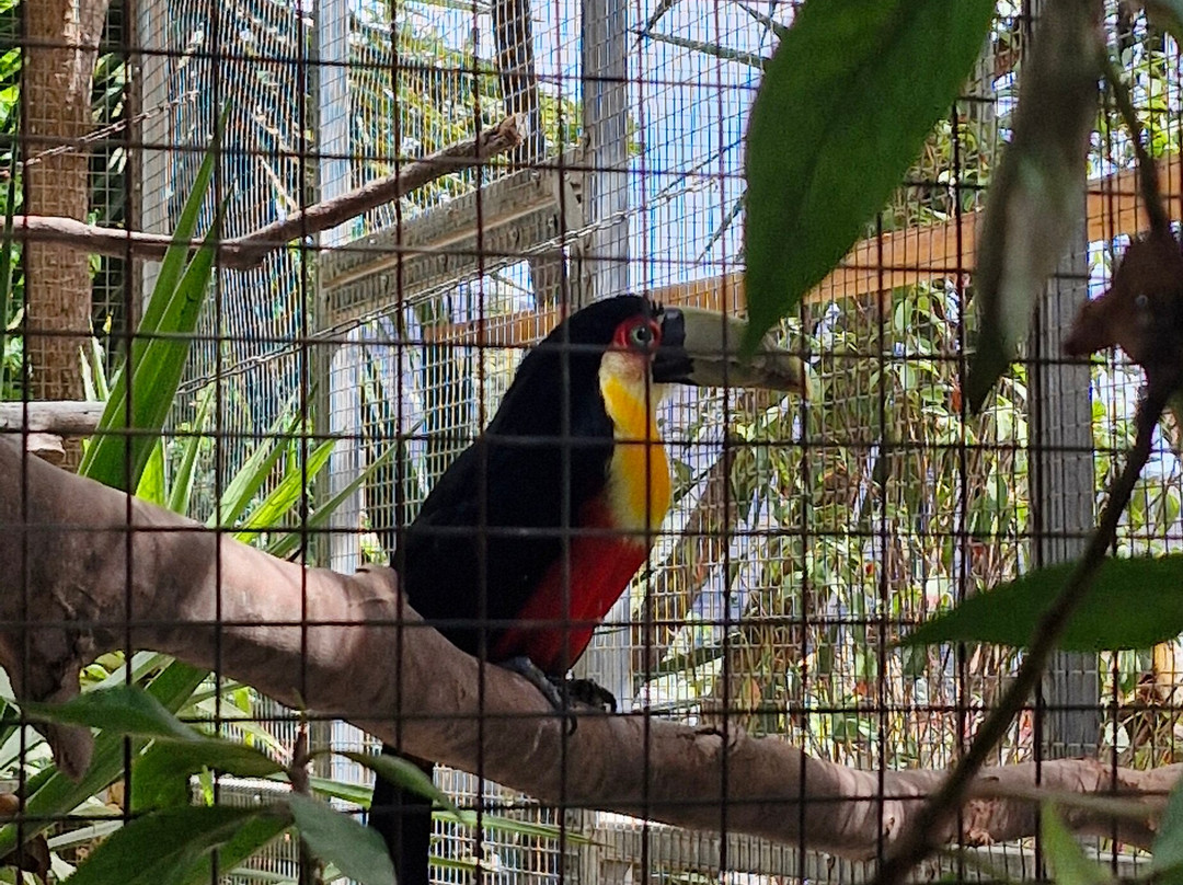 Amazonas Park-Kourounes必去景点