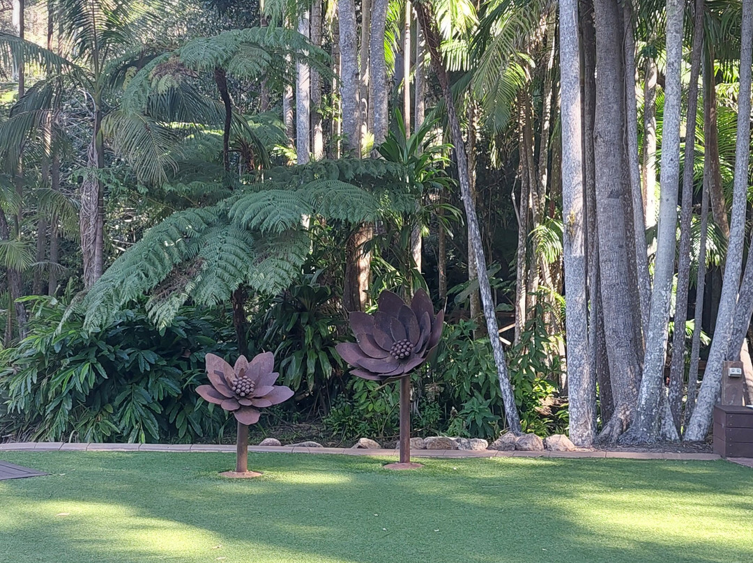 Tamborine Mountain Botanic Gardens-丹百林山必去景点