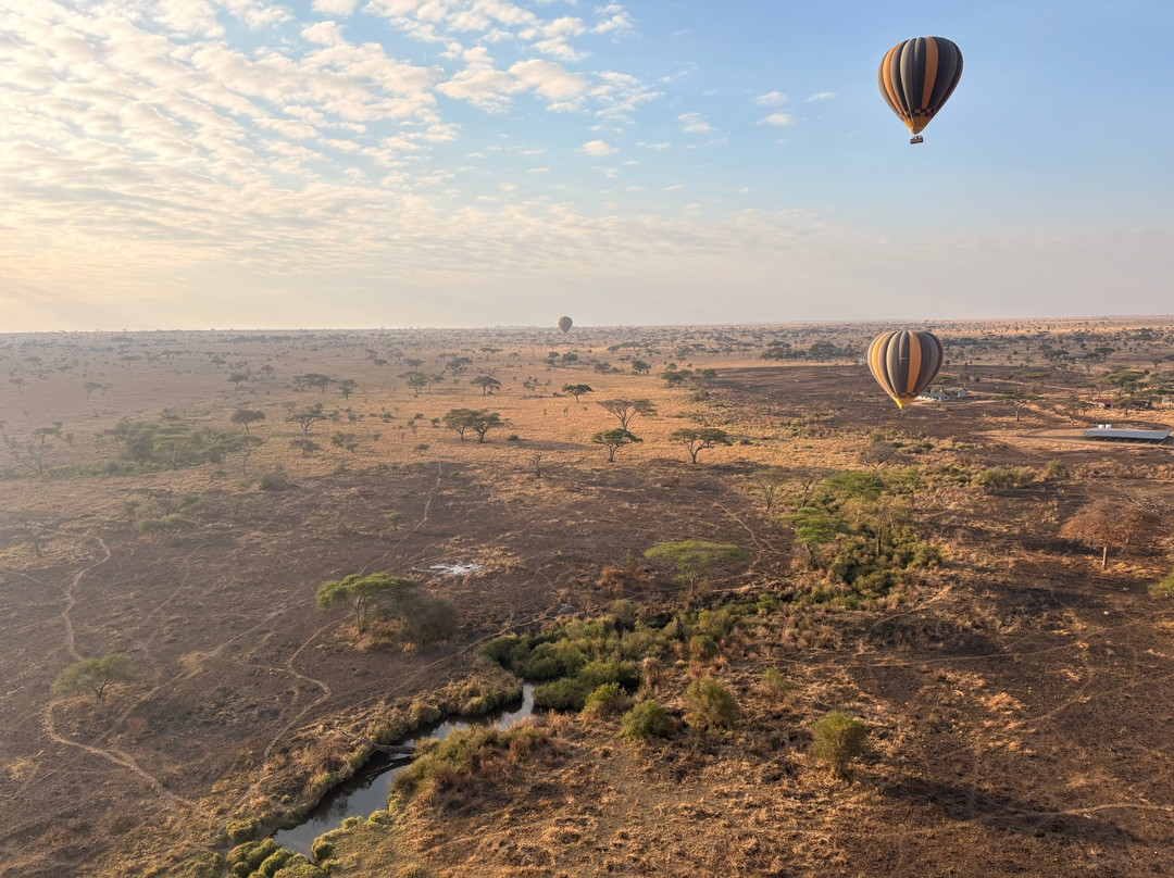 Munda Africa Adventure | Gorilla Trekking & Wildlife Safaris-恩德培必去景点