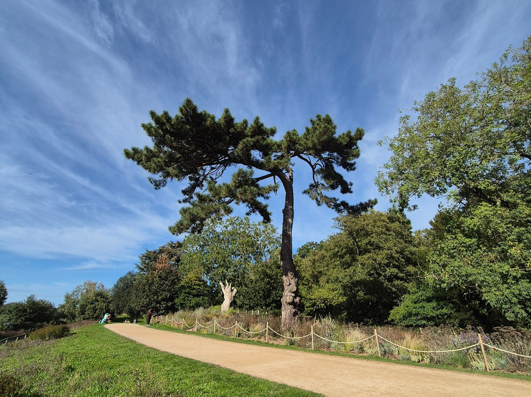 Trentham Gardens-Trentham必去景点