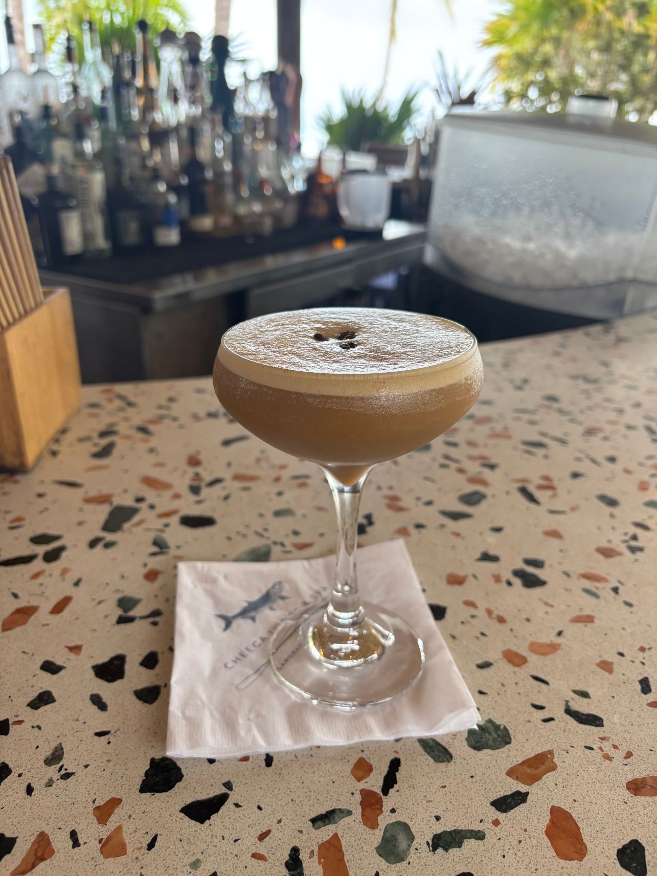 奇卡水疗小屋酒店-旅行者