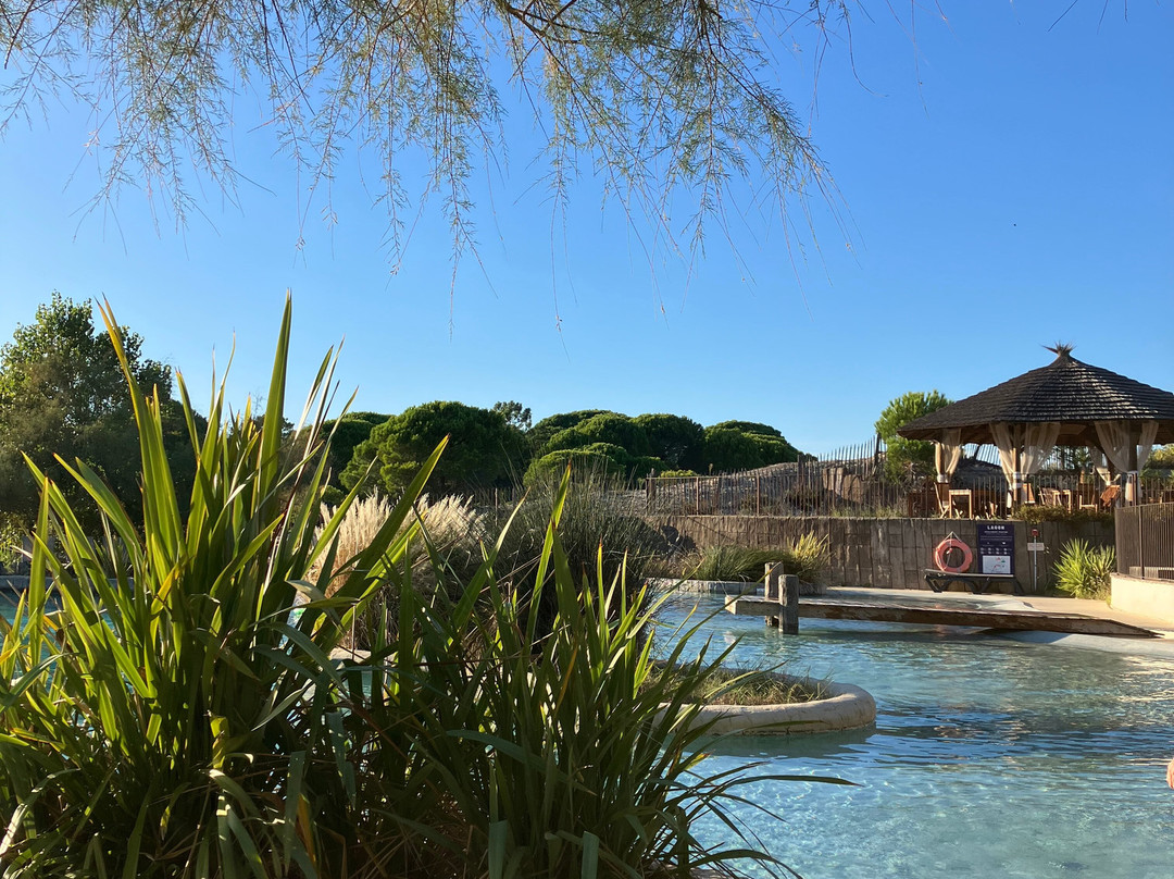 Camping Yelloh! Village Les Petits Camarguais主图