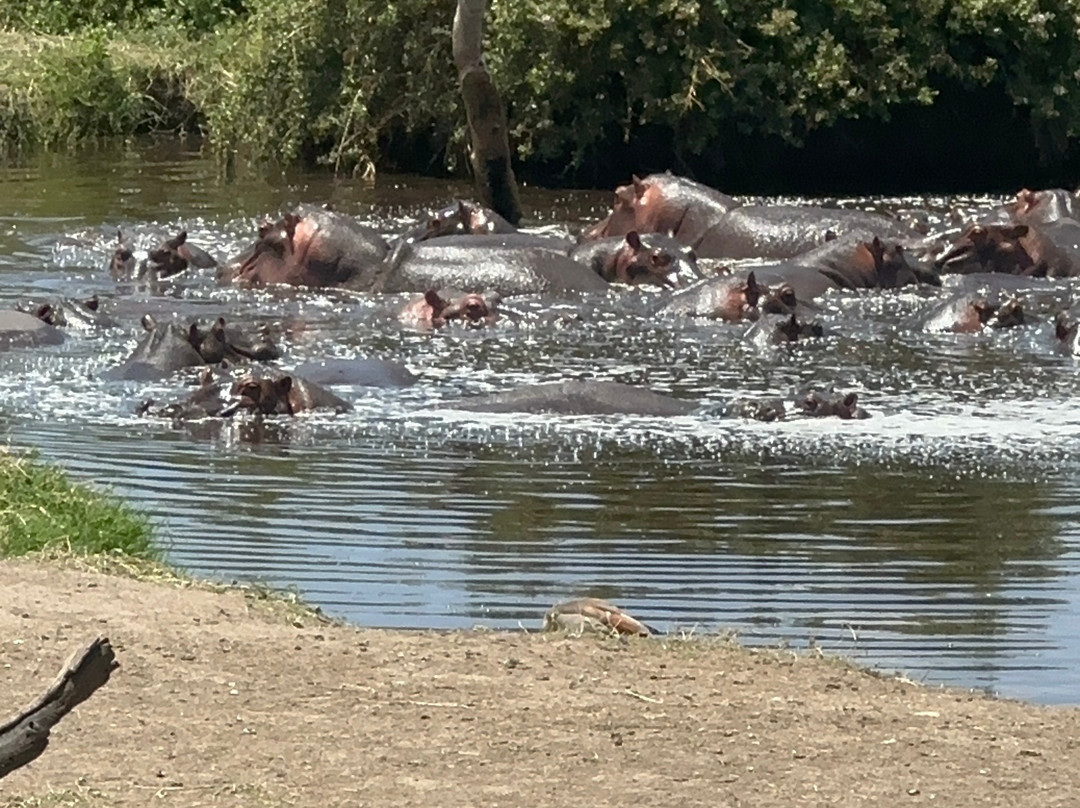 Sereland Africa Safaris-Sakina必去景点