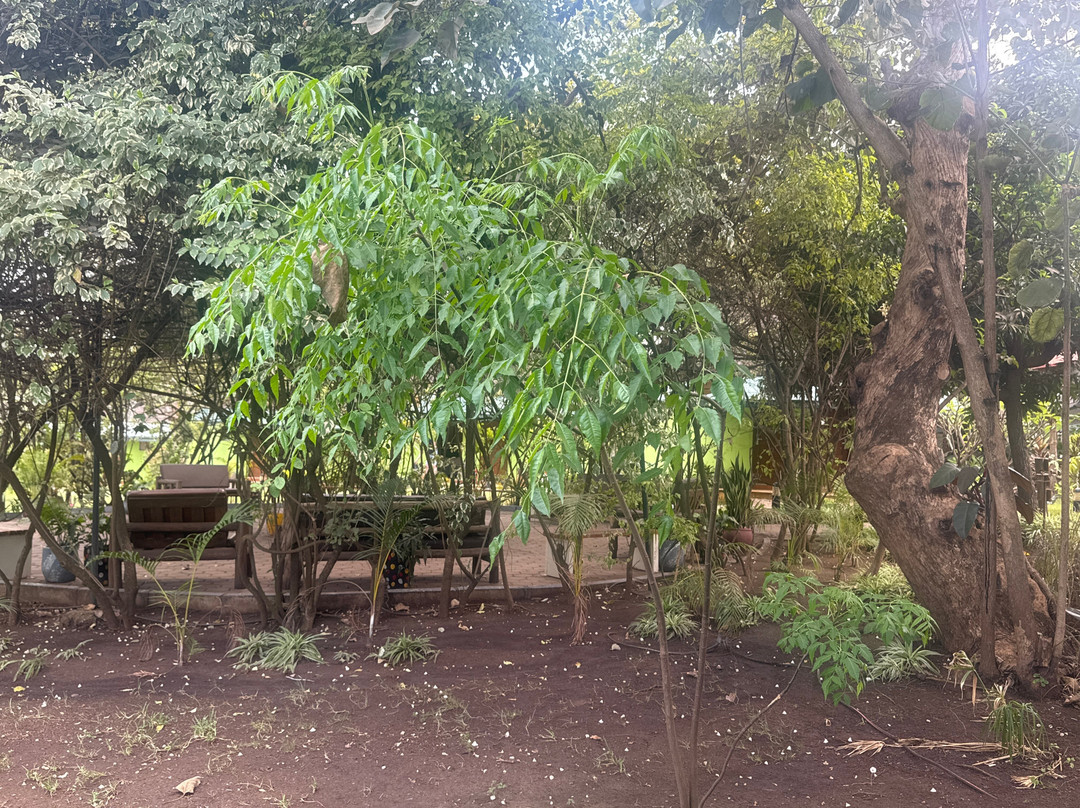 趣味度假屋度假村 - 阿育吠陀 Spa 酒店主图