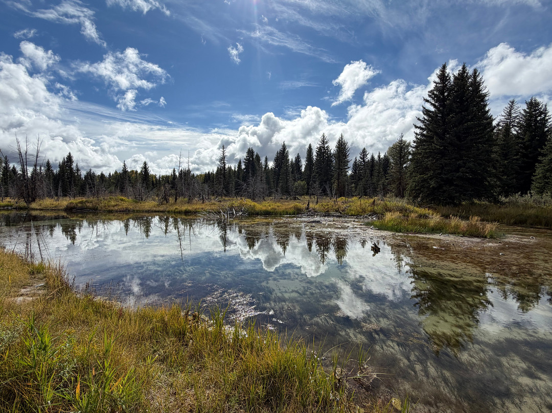 Schwabacher Landing-大提顿国家公园必去景点