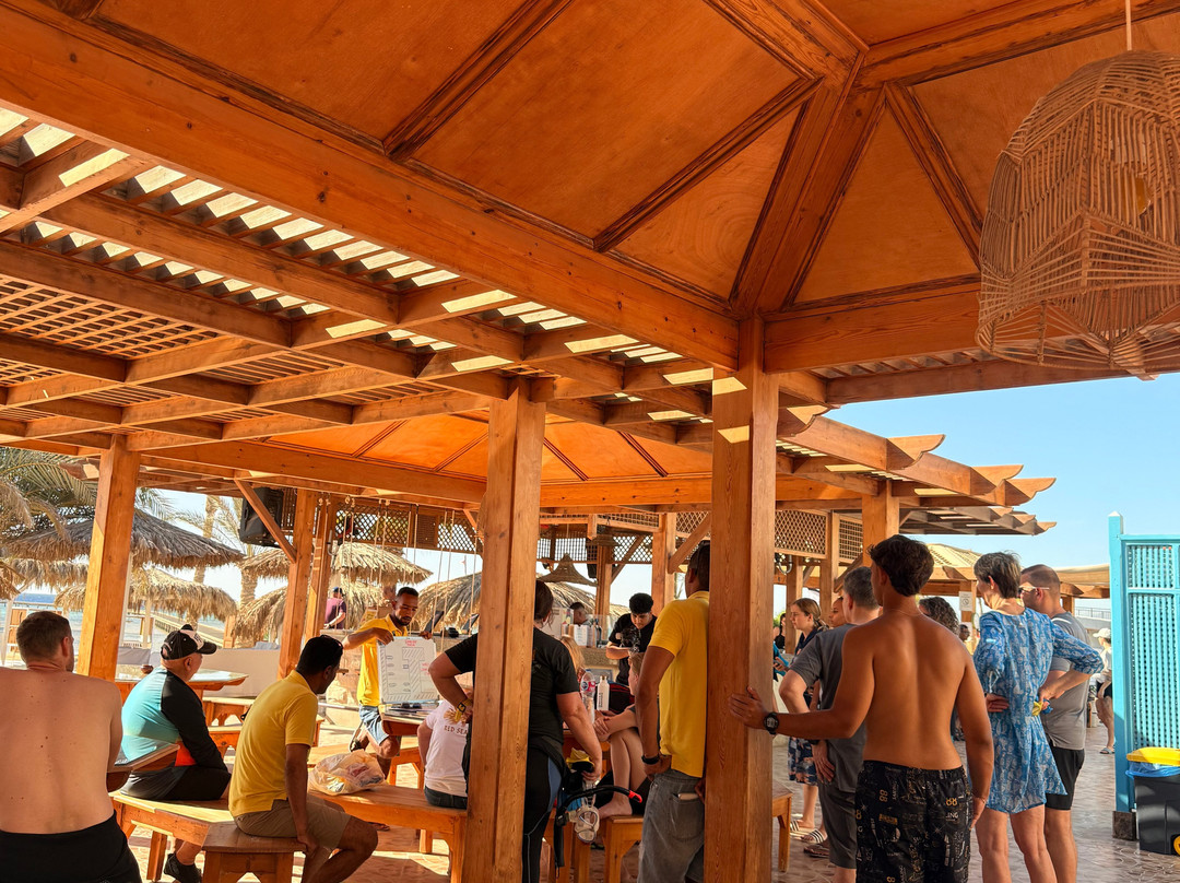 ORCA Dive Club Soma Bay-索马湾必去景点